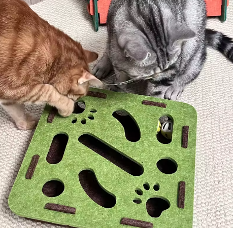 MiyavLand® Kedi Labirenti