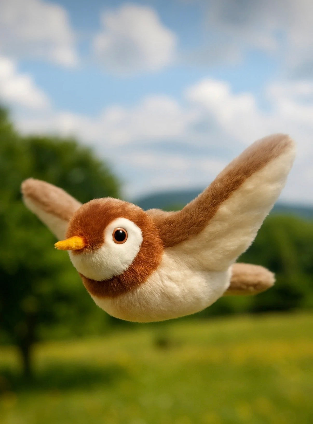 MiyavLand® Uçan Kuş Oyuncağı